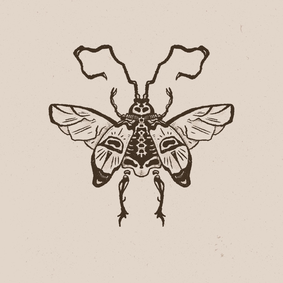 Skeleton Beetle
